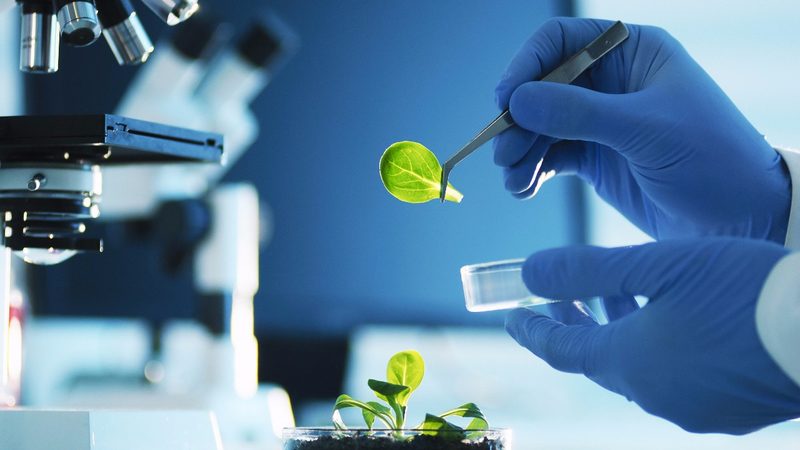药包材材质分类解析：揭秘制药行业的“外衣”选择