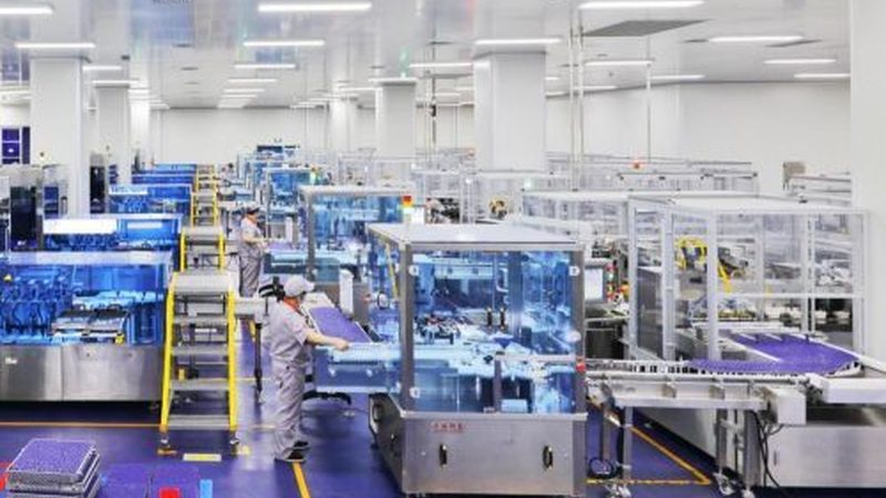 玉米淀粉药用级：揭秘其背后的品质与工艺**